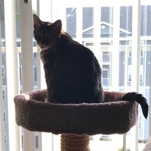 Meet your Posher, Lisa